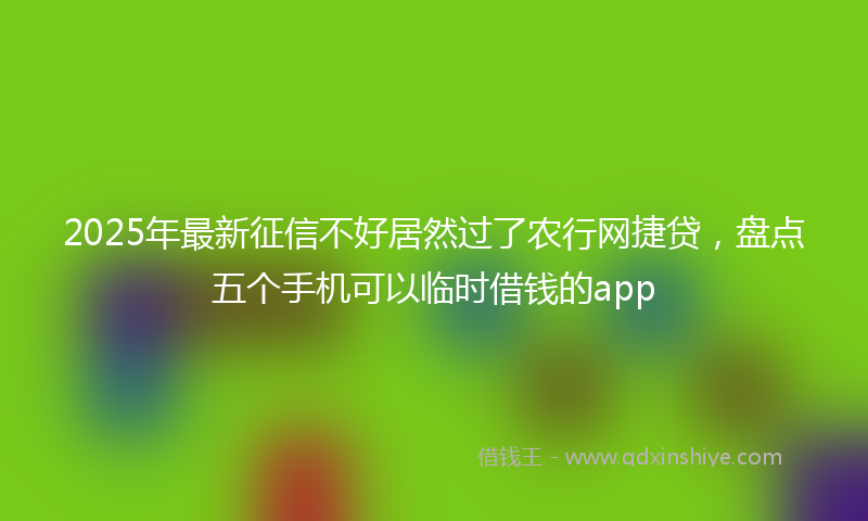 2025年最新征信不好居然过了农行网捷贷，盘点五个手机可以临时借钱的app