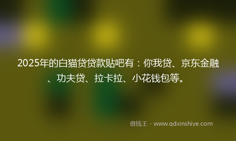 2025年的白猫贷贷款贴吧有：你我贷、京东金融、功夫贷、拉卡拉、小花钱包等。