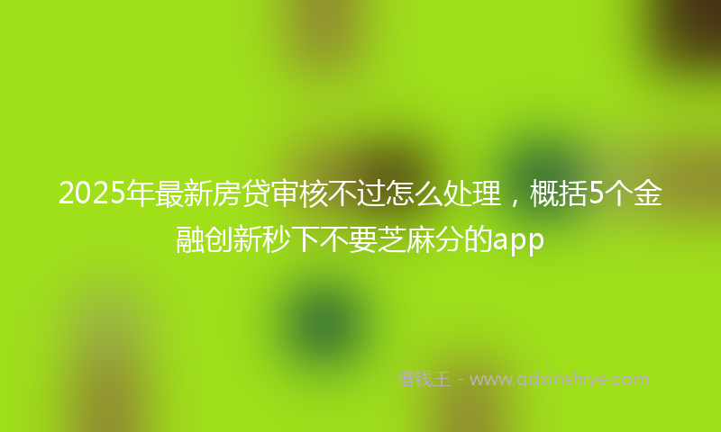 2025年最新房贷审核不过怎么处理，概括5个金融创新秒下不要芝麻分的app