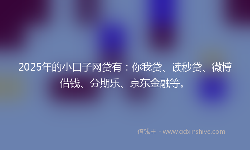 2025年的小口子网贷有：你我贷、读秒贷、微博借钱、分期乐、京东金融等。