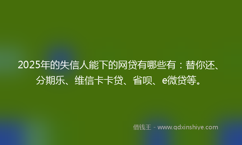 2025年的失信人能下的网贷有哪些有:替你还、分期乐、维信卡卡贷、省呗、e微贷等。