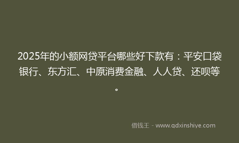 2025年的小额网贷平台哪些好下款有：平安口袋银行、东方汇、中原消费金融、人人贷、还呗等。