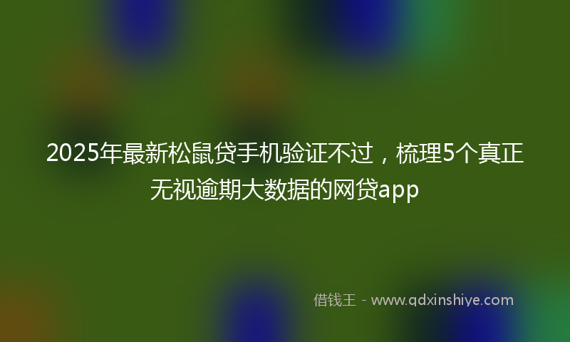 2025年最新松鼠贷手机验证不过，梳理5个真正无视逾期大数据的网贷app