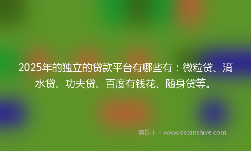 2025年的独立的贷款平台有哪些有：微粒贷、滴水贷、功夫贷、百度有钱花、随身贷等。