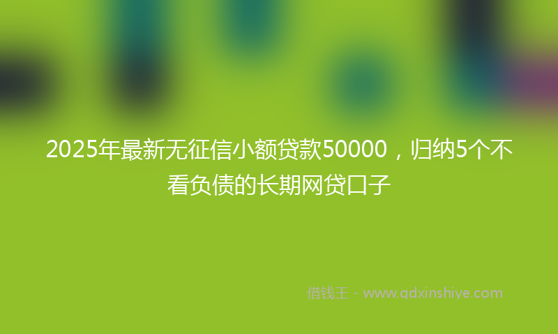 2025年最新无征信小额贷款50000，归纳5个不看负债的长期网贷口子