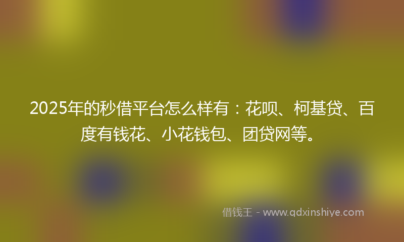 2025年的秒借平台怎么样有：花呗、柯基贷、百度有钱花、小花钱包、团贷网等。