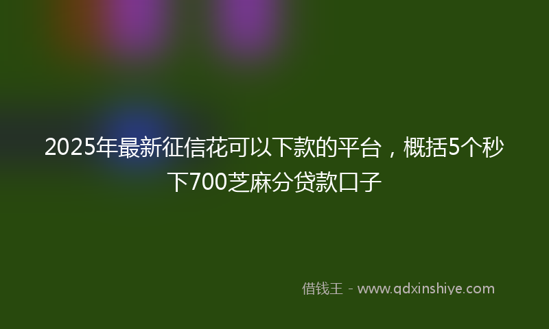 2025年最新征信花可以下款的平台，概括5个秒下700芝麻分贷款口子