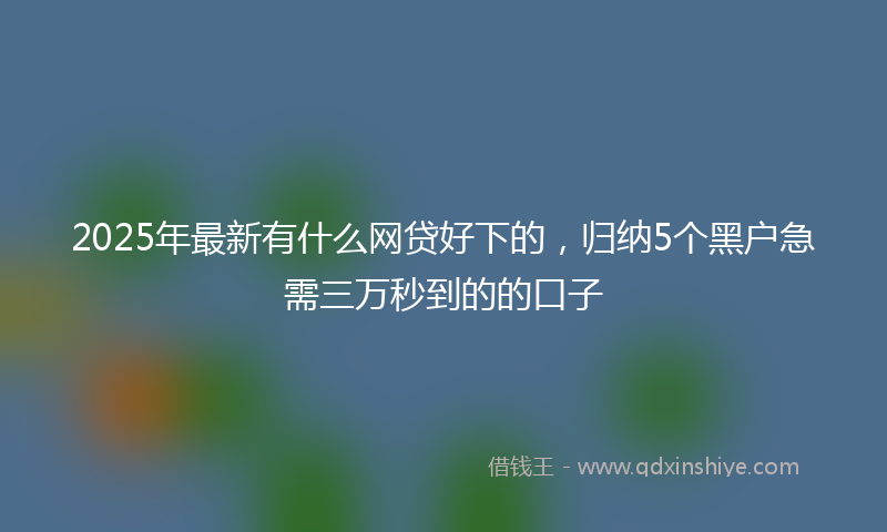 2025年最新有什么网贷好下的，归纳5个黑户急需三万秒到的的口子