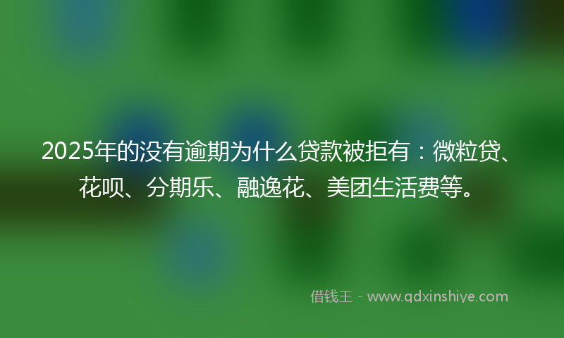 2025年的没有逾期为什么贷款被拒有：微粒贷、花呗、分期乐、融逸花、美团生活费等。