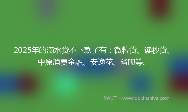 2025年的滴水贷不下款了有：微粒贷、读秒贷、中原消费金融、安逸花、省呗等。