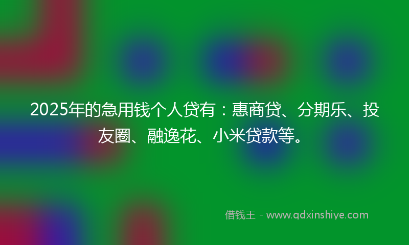 2025年的急用钱个人贷有：惠商贷、分期乐、投友圈、融逸花、小米贷款等。