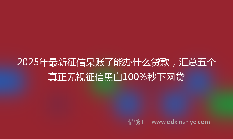 2025年最新征信呆账了能办什么贷款，汇总五个真正无视征信黑白100%秒下网贷