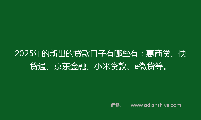 2025年的新出的贷款口子有哪些有：惠商贷、快贷通、京东金融、小米贷款、e微贷等。