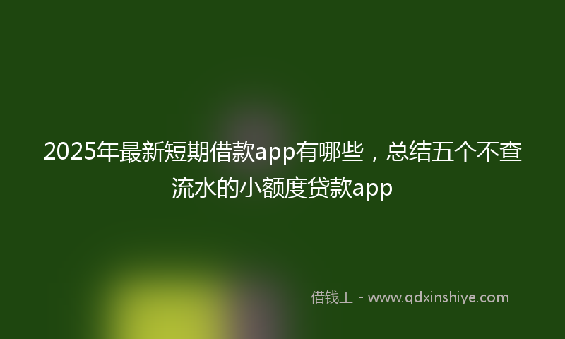 2025年最新短期借款app有哪些，总结五个不查流水的小额度贷款app