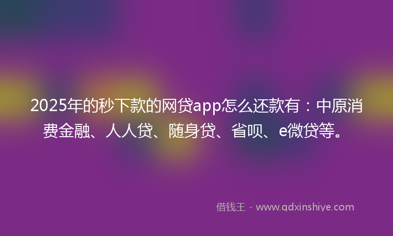 2025年的秒下款的网贷app怎么还款有：中原消费金融、人人贷、随身贷、省呗、e微贷等。