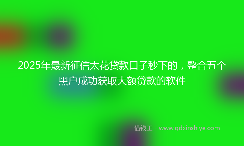 2025年最新征信太花贷款口子秒下的，整合五个黑户成功获取大额贷款的软件