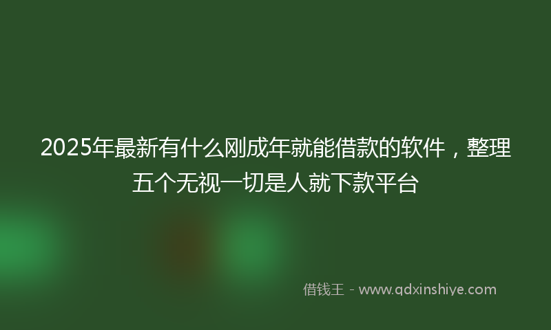 2025年最新有什么刚成年就能借款的软件，整理五个无视一切是人就下款平台