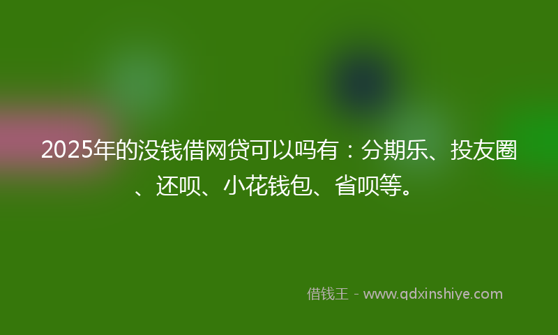 2025年的没钱借网贷可以吗有：分期乐、投友圈、还呗、小花钱包、省呗等。