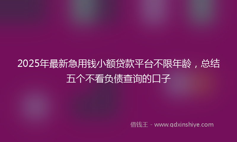 2025年最新急用钱小额贷款平台不限年龄，总结五个不看负债查询的口子