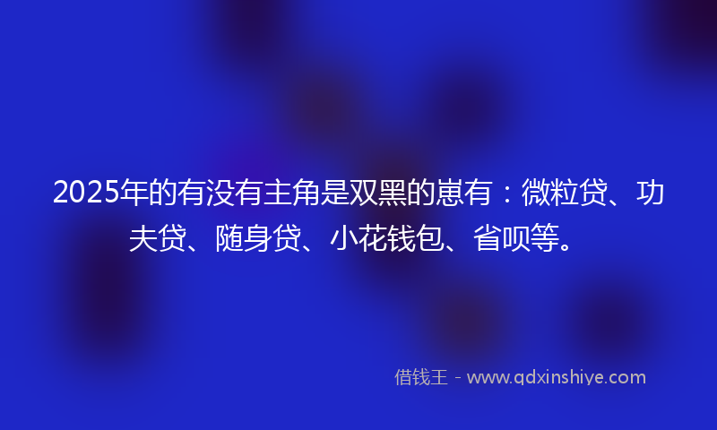 2025年的有没有主角是双黑的崽有：微粒贷、功夫贷、随身贷、小花钱包、省呗等。
