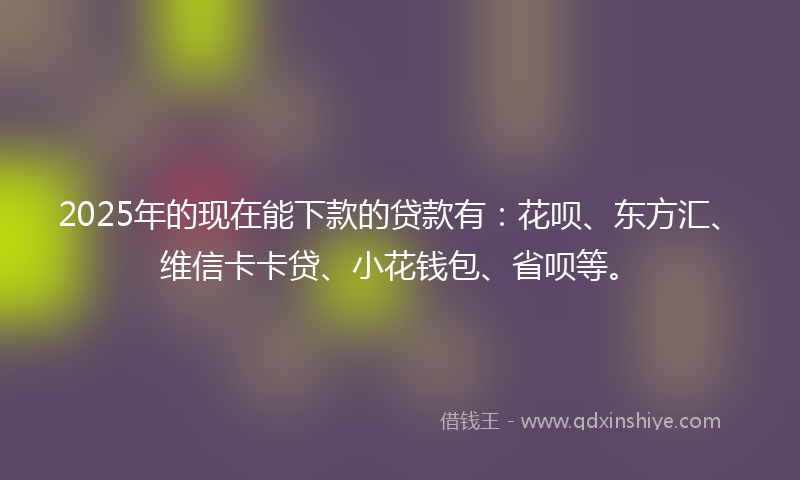 2025年的现在能下款的贷款有：花呗、东方汇、维信卡卡贷、小花钱包、省呗等。