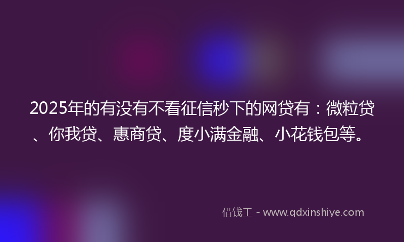 2025年的有没有不看征信秒下的网贷有：微粒贷、你我贷、惠商贷、度小满金融、小花钱包等。