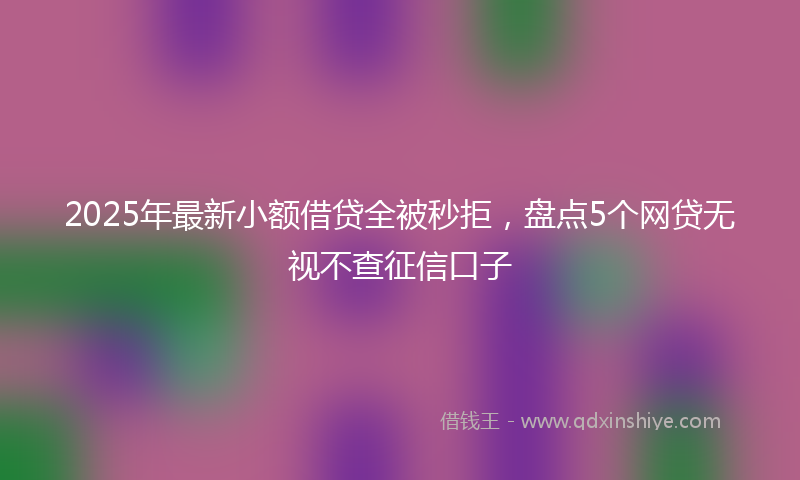 2025年最新小额借贷全被秒拒，盘点5个网贷无视不查征信口子