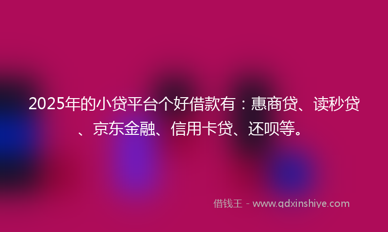 2025年的小贷平台个好借款有：惠商贷、读秒贷、京东金融、信用卡贷、还呗等。