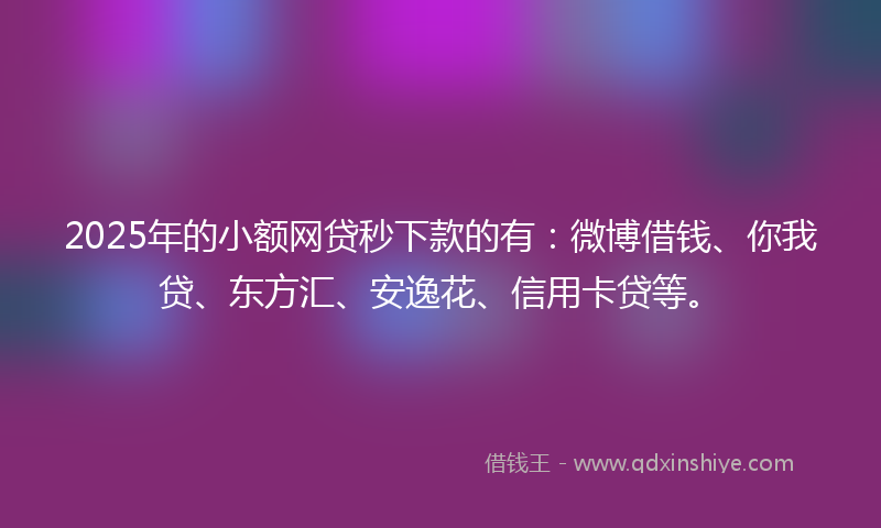 2025年的小额网贷秒下款的有：微博借钱、你我贷、东方汇、安逸花、信用卡贷等。