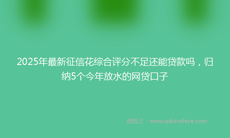 2025年最新征信花综合评分不足还能贷款吗，归纳5个今年放水的网贷口子