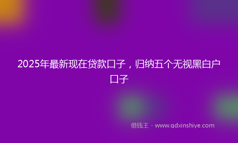 2025年最新现在贷款口子，归纳五个无视黑白户口子