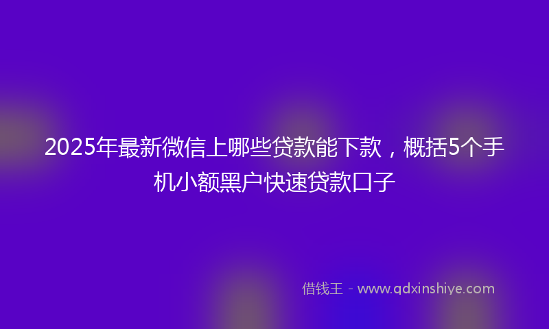 2025年最新微信上哪些贷款能下款，概括5个手机小额黑户快速贷款口子