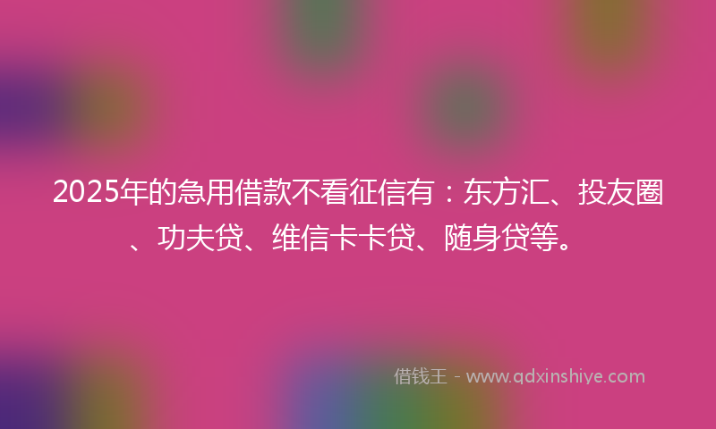 2025年的急用借款不看征信有：东方汇、投友圈、功夫贷、维信卡卡贷、随身贷等。