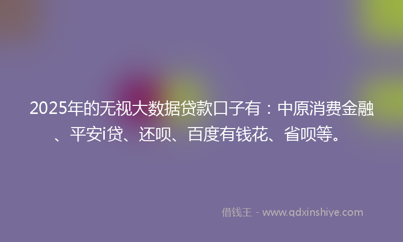 2025年的无视大数据贷款口子有：中原消费金融、平安i贷、还呗、百度有钱花、省呗等。