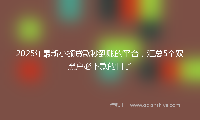 2025年最新小额贷款秒到账的平台，汇总5个双黑户必下款的口子