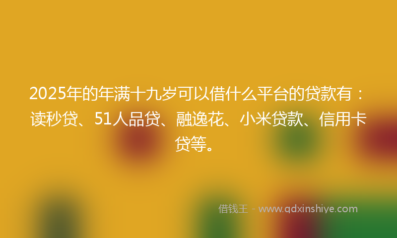 2025年的年满十九岁可以借什么平台的贷款有：读秒贷、51人品贷、融逸花、小米贷款、信用卡贷等。