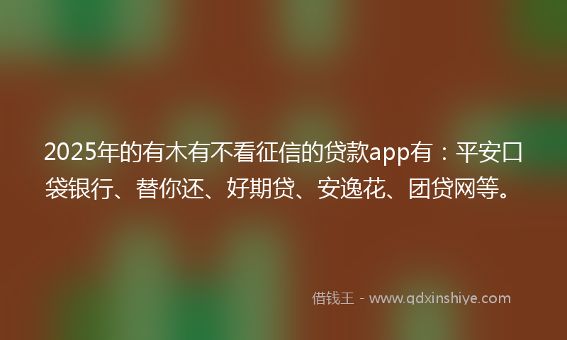 2025年的有木有不看征信的贷款app有：平安口袋银行、替你还、好期贷、安逸花、团贷网等。