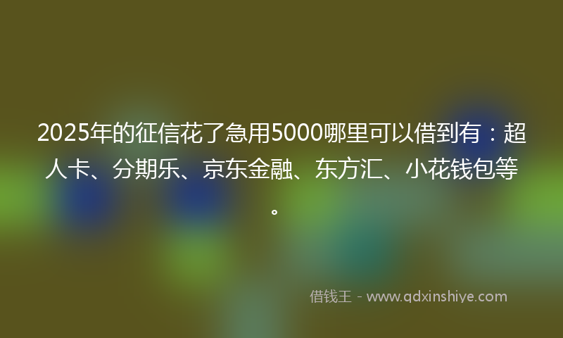 2025年的征信花了急用5000哪里可以借到有：超人卡、分期乐、京东金融、东方汇、小花钱包等。