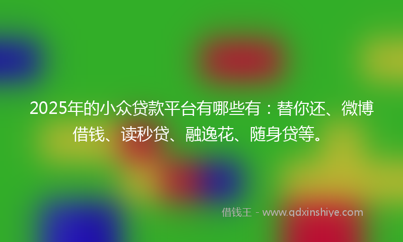 2025年的小众贷款平台有哪些有：替你还、微博借钱、读秒贷、融逸花、随身贷等。