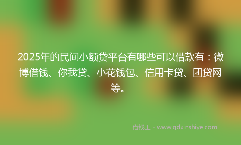 2025年的民间小额贷平台有哪些可以借款有：微博借钱、你我贷、小花钱包、信用卡贷、团贷网等。
