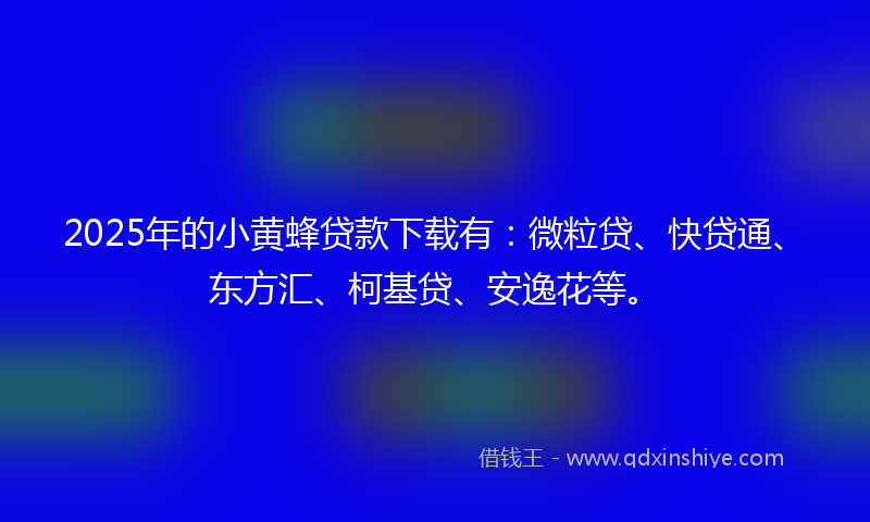 2025年的小黄蜂贷款下载有：微粒贷、快贷通、东方汇、柯基贷、安逸花等。