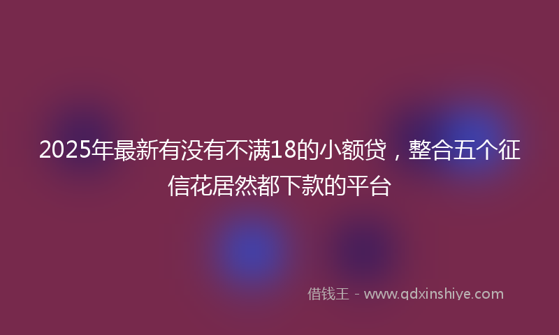 2025年最新有没有不满18的小额贷，整合五个征信花居然都下款的平台