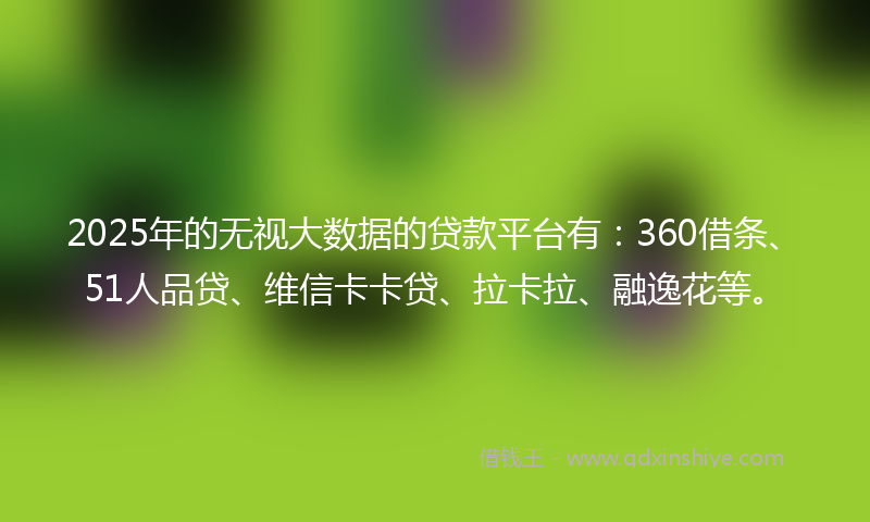 2025年的无视大数据的贷款平台有：360借条、51人品贷、维信卡卡贷、拉卡拉、融逸花等。