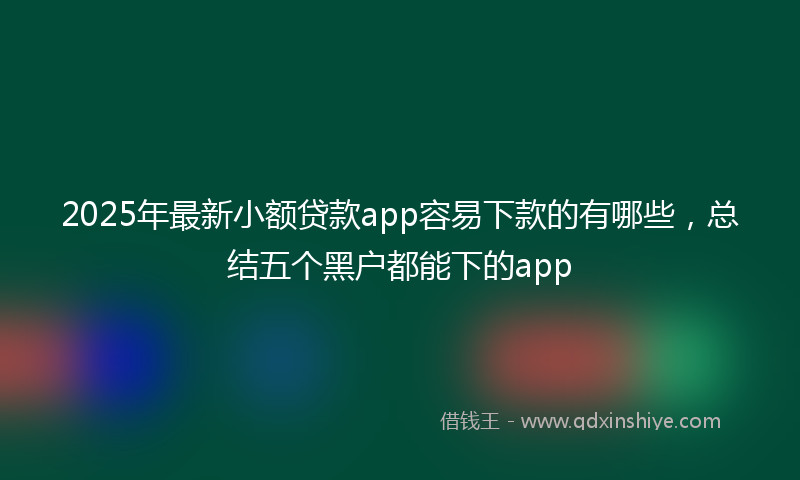 2025年最新小额贷款app容易下款的有哪些，总结五个黑户都能下的app