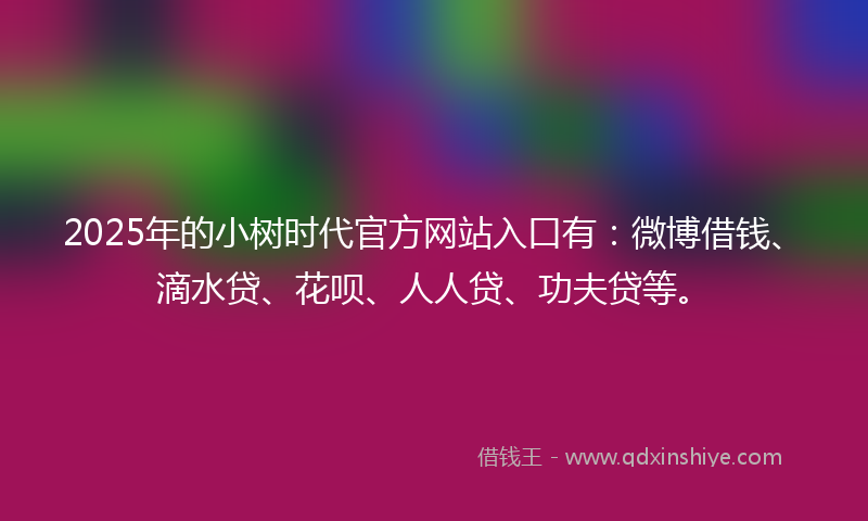 2025年的小树时代官方网站入口有：微博借钱、滴水贷、花呗、人人贷、功夫贷等。