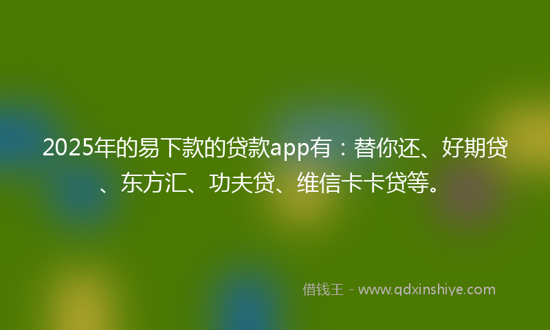 2025年的易下款的贷款app有：替你还、好期贷、东方汇、功夫贷、维信卡卡贷等。