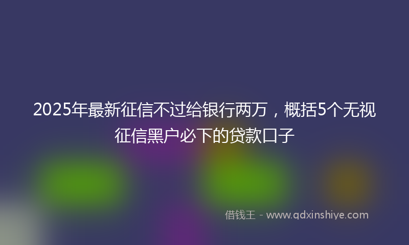 2025年最新征信不过给银行两万，概括5个无视征信黑户必下的贷款口子