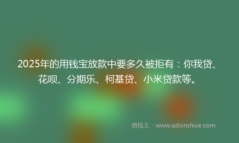 2025年的用钱宝放款中要多久被拒有：你我贷、花呗、分期乐、柯基贷、小米贷款等。