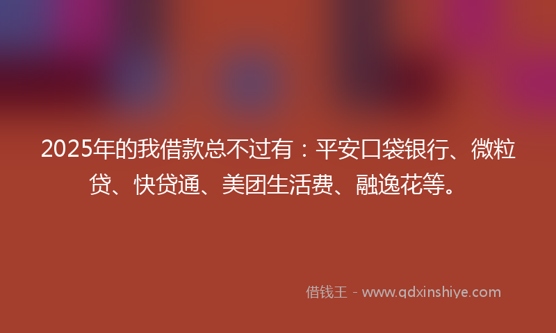 2025年的我借款总不过有：平安口袋银行、微粒贷、快贷通、美团生活费、融逸花等。