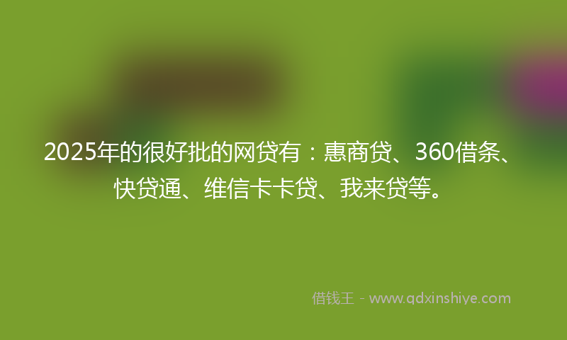 2025年的很好批的网贷有：惠商贷、360借条、快贷通、维信卡卡贷、我来贷等。